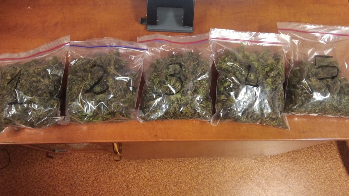 Policjanci z Kędzierzyna-Koźla przejęli 25 kg narkotyków. Areszt 23-latka