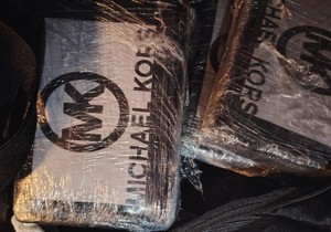 Zaplenjena droga u Novom Sadu 