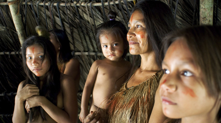 Egy amazonasi törzs Peru határán élő közössége, ide még nem ért el a tűz, de csak idő kérdése / Fotó: Profimedia