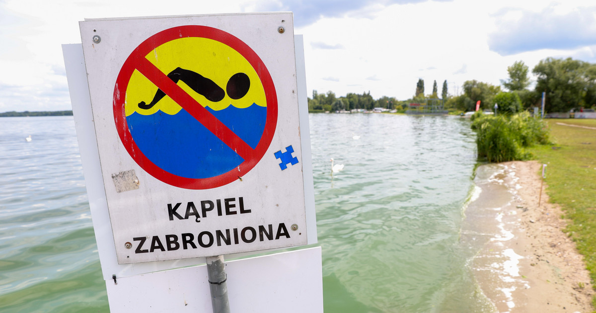 Zakaz kąpieli na "Dzikiej Plaży". Sanepid ostrzega przed sinicami