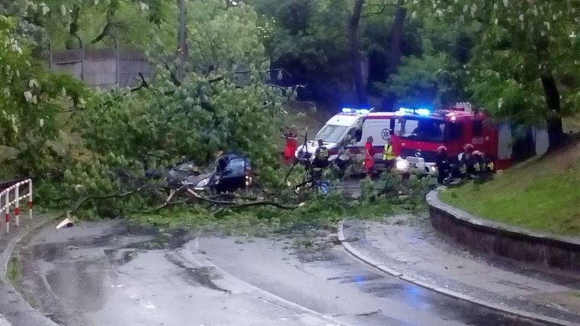 Tragiczne skutki nawałnicy. Drzewo przygniotło kobietę w samochodzie