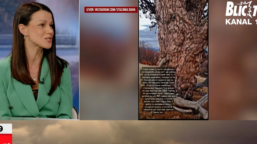 Profesorka istorije iz Užica Ivana Janković