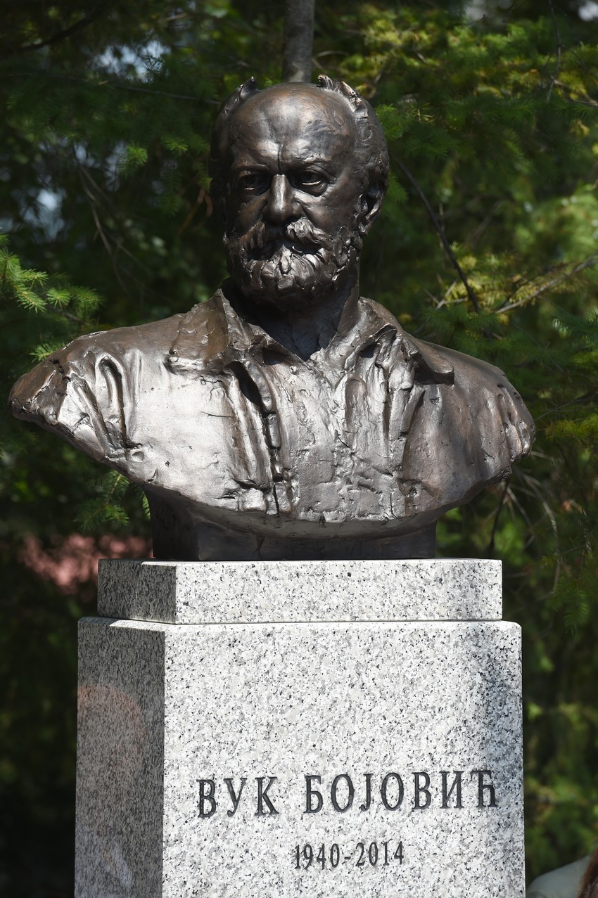 Bista Vuka Bojovića