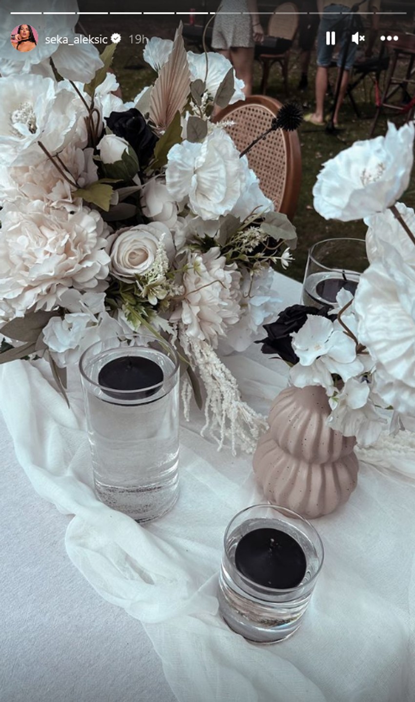 Seka Aleksić proslavila Veljkov 40. rođendan