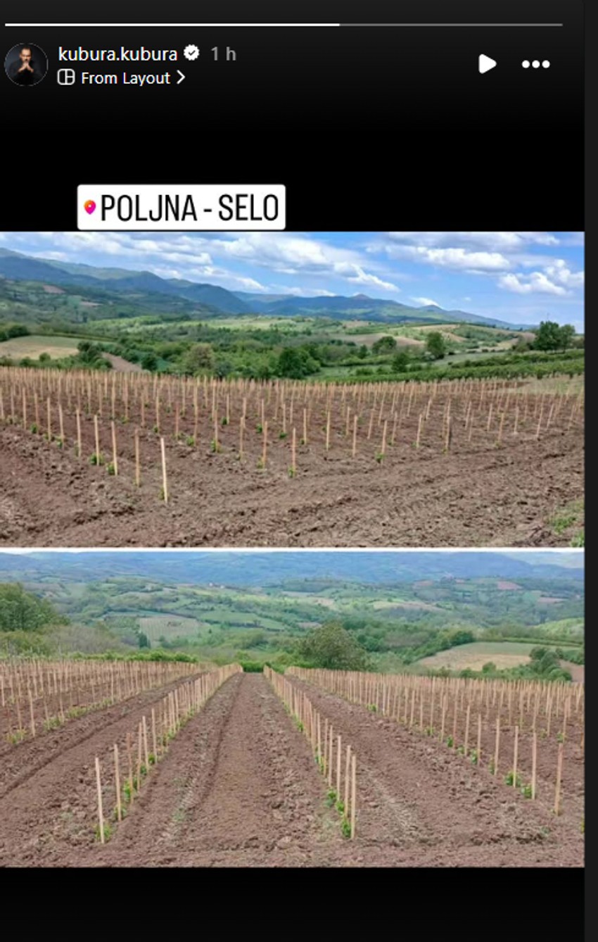 Kubura pokazao kako izgleda njegov vinograd
