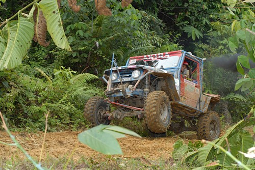 Borneo Safari 2010: To trzeba było zobaczyć!