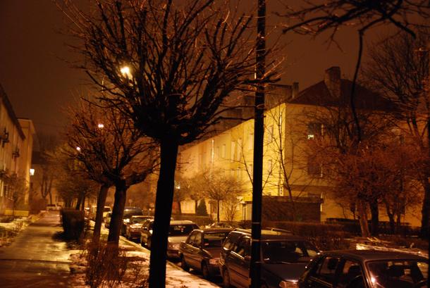 Lublin drzewa noc bloki