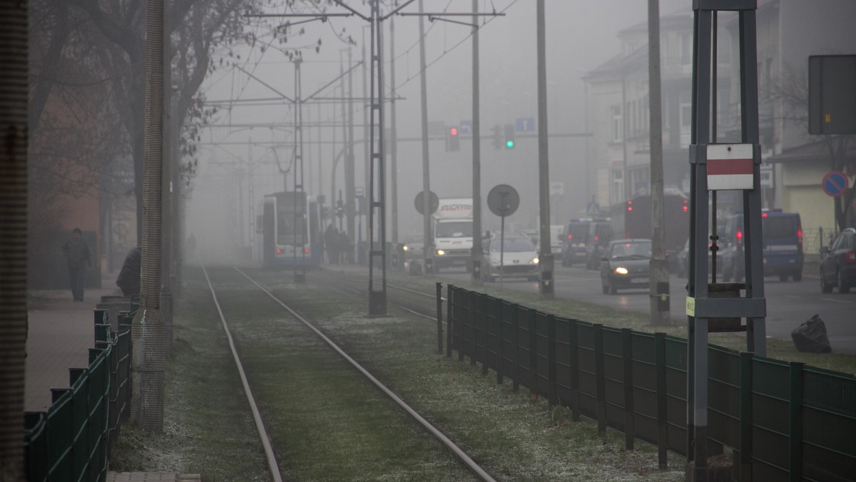 Kraków: darmowa komunikacja miejska 