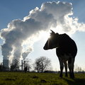 "Prawa do emisji CO2 powinny być zlikwidowane". Propozycja z polskiego rządu dla Unii