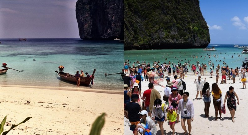 maya bay then and now