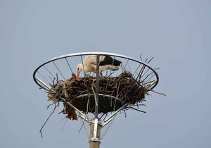 snježana-roda-bratunac