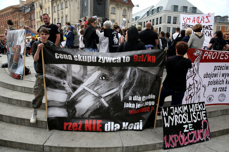 Manifestacja przeciwko wywozowi polskich koni na rzeź do Japonii, PAP/Tomasz Gzell