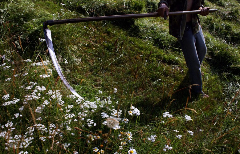 Krajobrazy w wiosce Magura w rumuńskiej Transylwanii