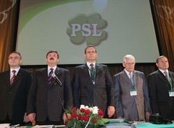 PSL idzie na wojnę z... Platformą