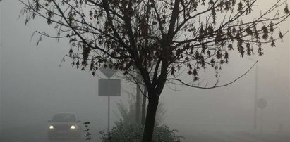 Trzy osoby zginęły przez mgłę