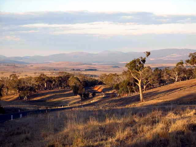 Galeria Australia - Kosciuszko National Park, obrazek 11