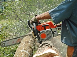 Podrabiają już nawet piły łańcuchowe