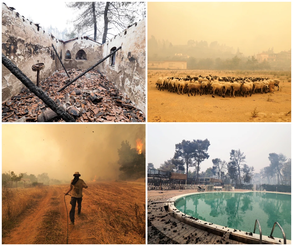 Dani užasa: Požari su do neprepoznatljivosti spržili grčko ostrvo Eviju