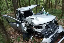 Tak wygląda auto osobowe po zderzeniu z łosiem. Uważaj szczególnie teraz