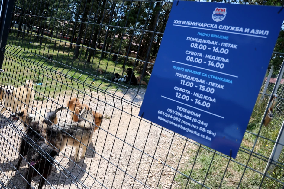 azil-za-pse-na-manjaci-06