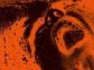 'Jezus Maria Peszek' - recenzja