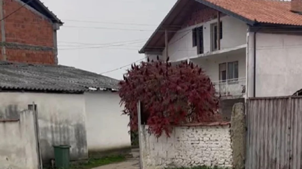 Janina stara kuća