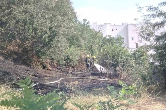 Požar na Kosančićevom vencu: Zapalila se trava, vatrogasci hitno reagovali (FOTO, VIDEO)