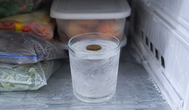 Novčić u frižideru