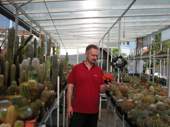 Stevan Avramov u svojoj kolekciji ima oko 2.000 vrsta kaktusa