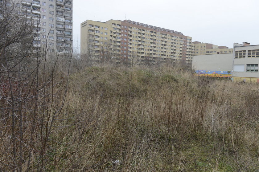 Zaniedbany teren przy szkole nr 118 na Osiedlu Kosmonautów we Wrocławiu