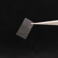 Élő fóliát fejlesztettek ki gombákból a kutatók Svájcban