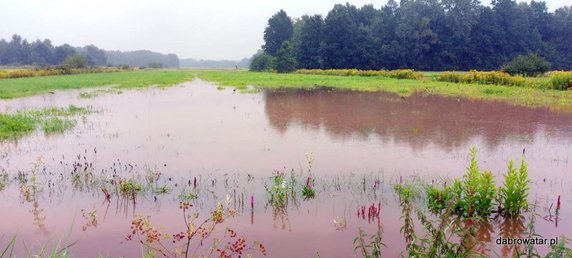 Podtopienia w Dąbrowie Tarnowskiej