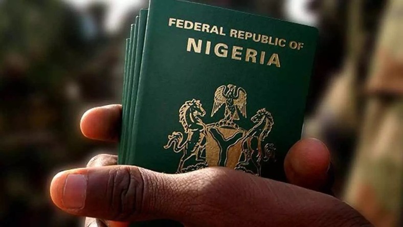 Image result for Nigerian Passport