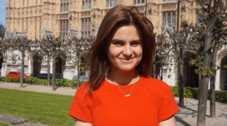 Jo Cox parlamenti képviselő lövöldözés áldozata lett, belehalt sérüléseibe /Fotó: Twitter