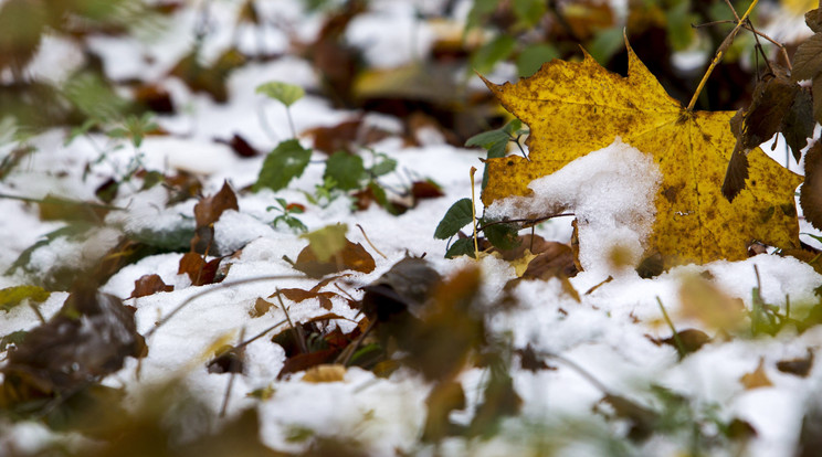 Már havazott Vas megyében/ Fotó: MTI-Varga György