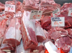 Będziemy jeść mięso ze sklonowanych zwierząt