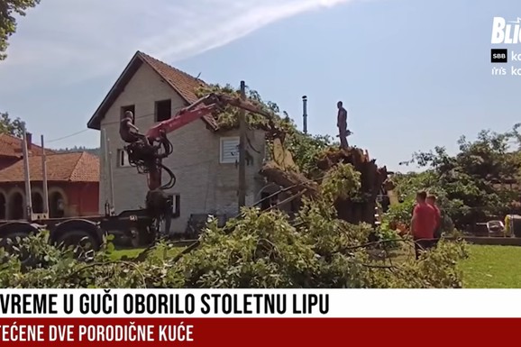 NEVREME SLOMILO STOGODIŠNJU LIPU U GUČI Oštećeni krovovi i putevi: Deca bila ZAROBLJENA U ZGRADI ŠKOLE TOKOM OLUJE (VIDEO)