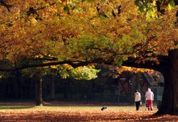 Jesienią dookoła świata. Malownicze krajobrazy