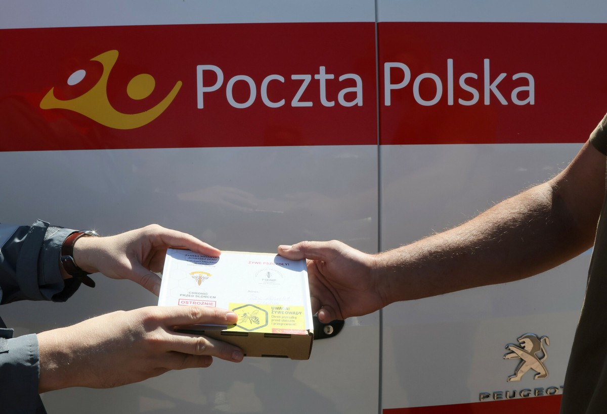 Nowa fala oszustw "na przesyłkę". Poczta Polska ostrzega