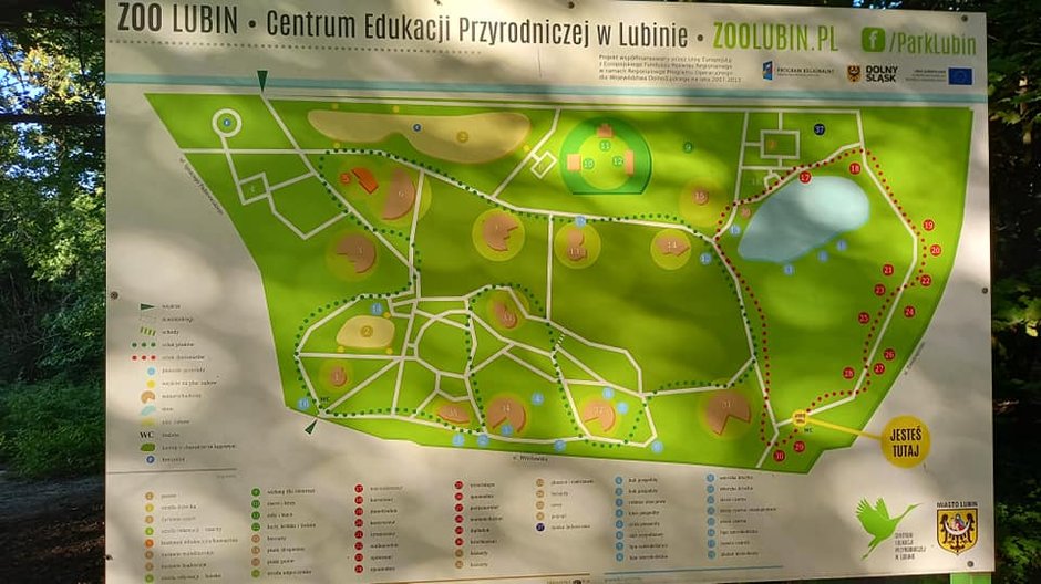 Park Wrocławski - ZOO Lubin - Centrum Edukacji Przyrodniczej