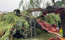 Trąba powietrzna zniszczyła wieś na Podlasiu. "Myśleliśmy, że to koniec świata"