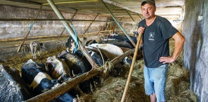 Okrutni gospodarze zgotowali im prawdziwe piekło. Na szczęście znalazł się człowiek, który zadbał o zagłodzone zwierzęta