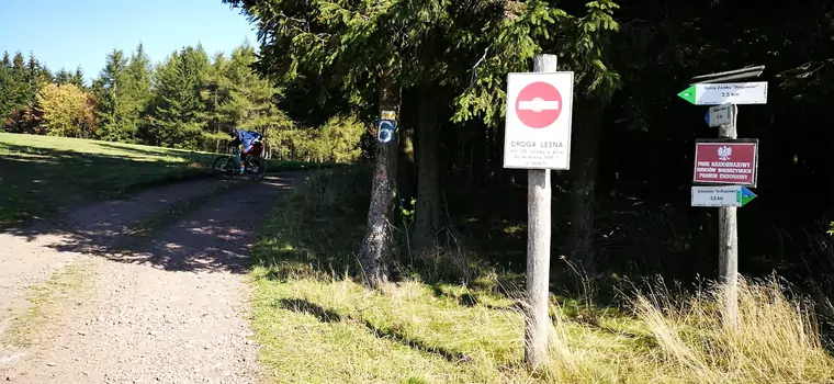 Samochodem do lasu na grzyby. Jak nie zasłużyć na mandat?