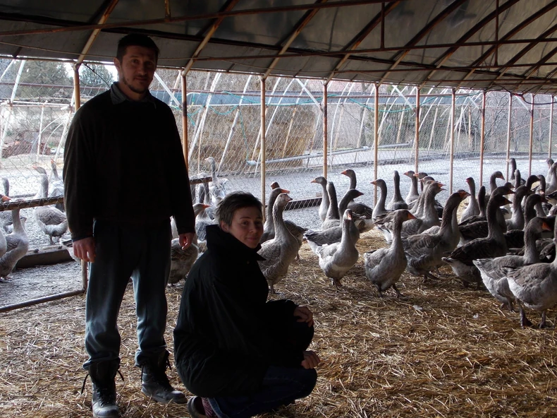 Zoltan i Monika su spremni da gaje i do 3.000 gusaka
