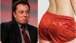 Tesla and SpaceX CEO Elon Musk sells a variety of products on his company websites.Reuters/Rebecca Cook/Tesla