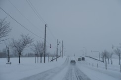 Kolejny atak zimy? Amerykańskie prognozy GFS nie są optymistyczne. Co na to IMGW?