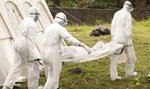 Wirus Ebola już w Europie. Zarażony chłopiec w Belgii