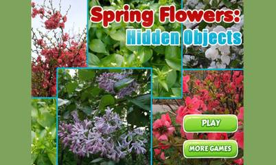 Spring Flowers Hidden Objects