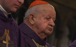 Nadużycia seksualne w Kościele. KOMENTARZE po emisji "Don Stanislao"