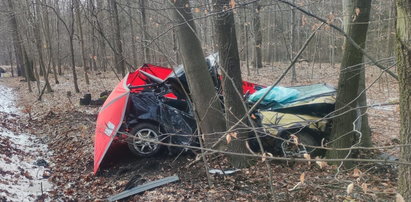 Tragiczny wypadek w Katowicach. 23-latek roztrzaskał się na drzewie